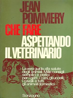 Che fare aspettando il veterinario