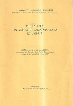 Pietrafitta: un museo di paleontologia in Umbria