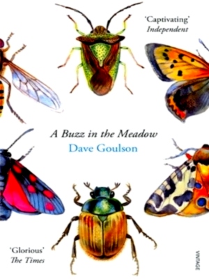 Seller image for A Buzz in the Meadow Special Collection for sale by Collectors' Bookstore