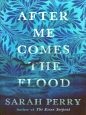 Immagine del venditore per After Me Comes the Flood Special Collection venduto da Collectors' Bookstore