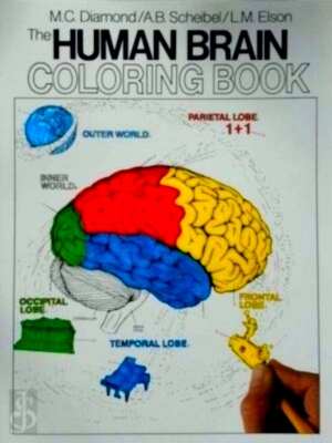 Seller image for Human Brain Colouring Book Special Collection for sale by Collectors' Bookstore