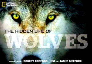 Seller image for The Hidden Life of Wolves Special Collection for sale by Collectors' Bookstore