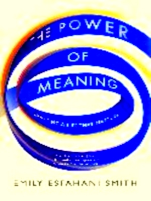 Image du vendeur pour The Power of Meaning Crafting a Life That Matters Limited Special Collection mis en vente par Collectors' Bookstore