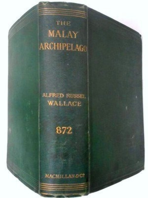 Seller image for The Malay Archipelago 10th ed. The Land of the Orang-Utan and the Bird of Paradise. A Narrative of Travel, with Studies of Man and Nature Special Collection for sale by Collectors' Bookstore