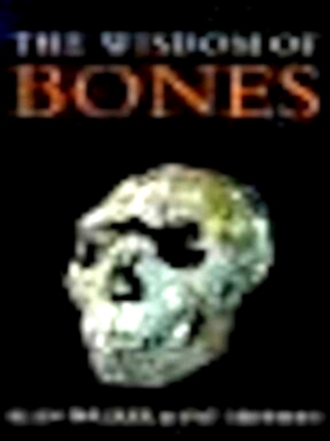 Seller image for The Wisdom of Bones In Search of Human Origins Special Collection for sale by Collectors' Bookstore