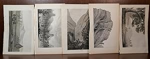 5 Lithographs from 1848 Nature Scenes Colorado/New Mexico