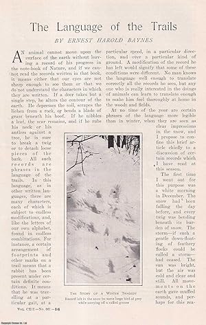 Seller image for The Language of Animal Trails in the Snow. This is an original article from the Harper's Monthly Magazine, 1905. for sale by Cosmo Books