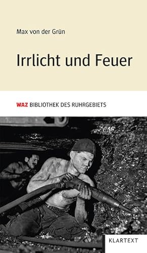 Imagen del vendedor de Irrlicht und Feuer a la venta por Versandantiquariat Felix Mcke