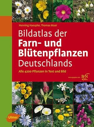 Image du vendeur pour Bildatlas der Farn- und Bltenpflanzen Deutschlands: Alle 4200 Pflanzen in Text und Bild mis en vente par Versandantiquariat Felix Mcke