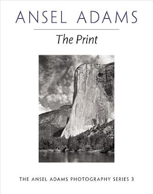 Imagen del vendedor de The Print (Paperback or Softback) a la venta por BargainBookStores