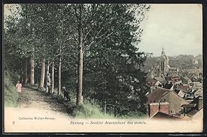 Carte postale Bernay, Sentier descendant des monts