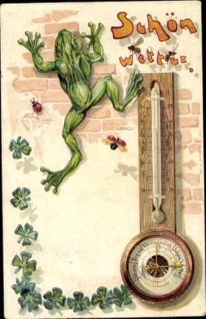 Präge Litho Barometer, Wetterfrosch, Kleeblätter, Käfer