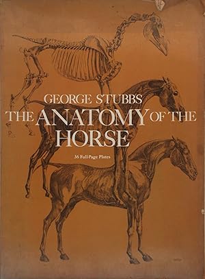 The Anatomy of the Horse