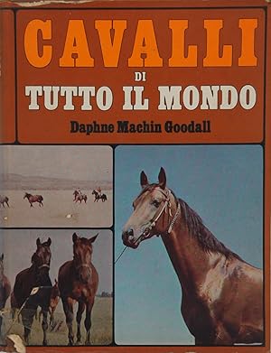 Cavalli di tutto il mondo