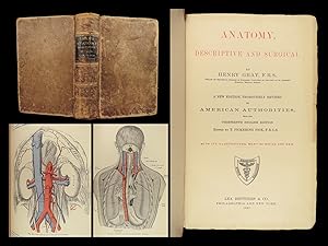 Imagen del vendedor de Anatomy, descriptive and surgical. a la venta por Schilb Antiquarian