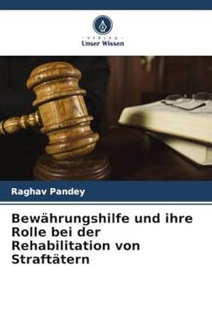 Imagen del vendedor de Bewhrungshilfe und ihre Rolle bei der Rehabilitation von Strafttern a la venta por AHA-BUCH GmbH