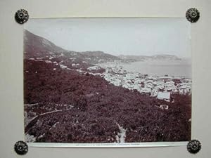 (Campania) CASAMICCIOLA. Panorama.