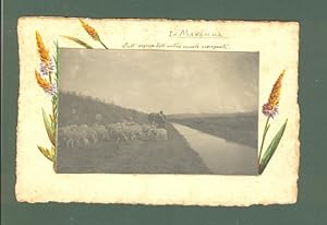 TOSCANA. Maremma. Sull'argine dell'Antico canale navigante. Foto d'epoca, anno 1909.