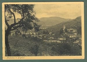 Piemonte. GRIGNASCO, Novara. Panorama. Cartolina d'epoca viaggiata nel 1937