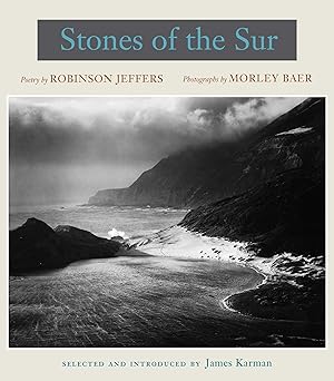 Seller image for Stones of the Sur for sale by moluna