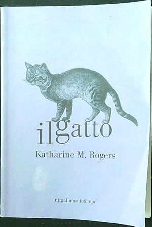 Il gatto