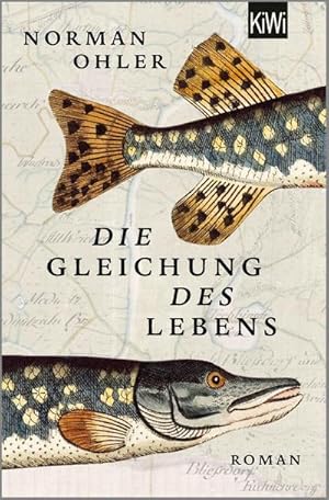 Seller image for Die Gleichung des Lebens: Roman for sale by Rheinberg-Buch Andreas Meier eK