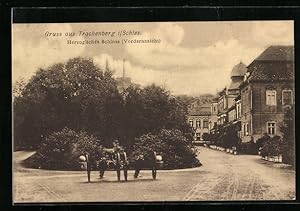 Ansichtskarte Trachenberg i. Schles., Herzogliches Schloss, Kanonen