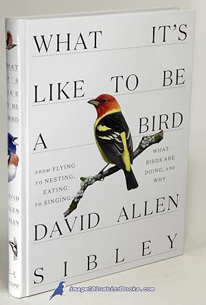 What It's Like to Be a Bird: From Flying to Nesting, Eating to Singing - What Birds Are Doing, an...