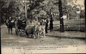 Bild des Verkufers fr Ansichtskarte / Postkarte Paris XVI, Jardin d Acclimatation, Fahrt in einem von Lamas gezogenen Auto zum Verkauf von akpool GmbH