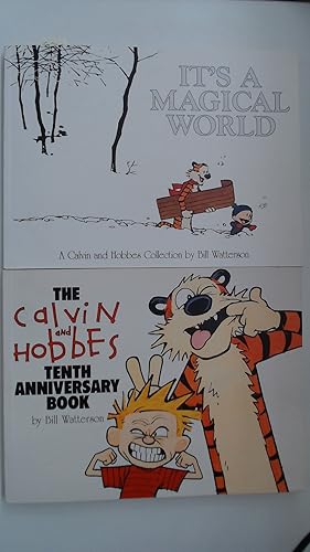 Immagine del venditore per 2 Calvin und Hobbes Bcher: Its a Magical World und Tenth Anniversary Book; venduto da Antiquariat Maiwald