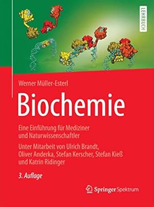 Bild des Verkufers fr Biochemie: Eine Einfhrung fr Mediziner und Naturwissenschaftler - Unter Mitarbeit von Ulrich Brandt, Oliver Anderka, Stefan Kerscher, Stefan Kie und Katrin Ridinger zum Verkauf von WeBuyBooks