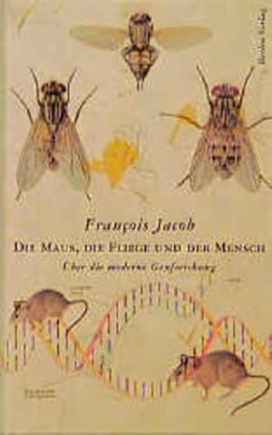 Die Maus, die Fliege und der Mensch