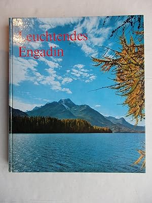 Seller image for Leuchtendes Engadin for sale by La Bouquinerie des Antres