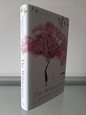 Seller image for The Wilderness for sale by MDS BOOKS