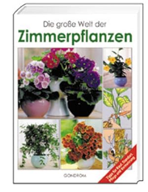 Image du vendeur pour Die grosse Welt der Zimmerpflanzen mis en vente par Studibuch