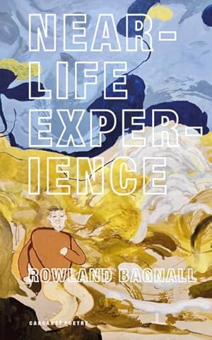 Immagine del venditore per Near-Life Experience venduto da GreatBookPrices