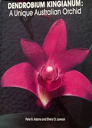 Dendrobium Kingianum: A Unique Australian Orchid.