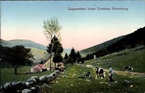 Ansichtskarte / Postkarte Hallau Kanton Schaffhausen, Langenwasen hinter Forsthaus Herrenberg