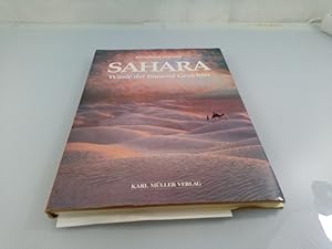 Sahara Wüste der tausend Gesichter