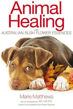 Immagine del venditore per Animal Healing With Australian Bush Flower Essences venduto da GreatBookPricesUK