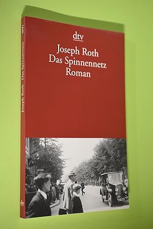 Das Spinnennetz : Roman. dtv ; 13171