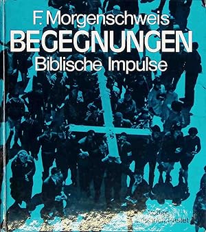 Imagen del vendedor de Begegnungen : bibl. Impulse. a la venta por books4less (Versandantiquariat Petra Gros GmbH & Co. KG)