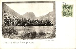 Ansichtskarte / Postkarte Te Anau Neuseeland, Insel Tois Tois, Lake te Anau