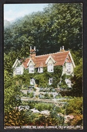Shanklin Honeymoon Cottage Postcard