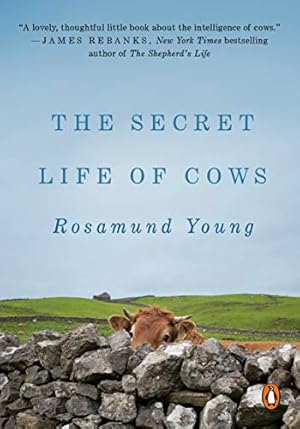 Imagen del vendedor de The Secret Life of Cows by Young, Rosamund [Paperback ] a la venta por booksXpress