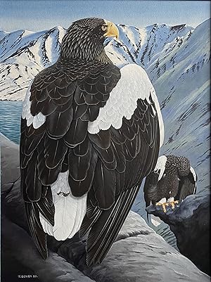 TREVOR BOYER - STELLER'S SEA EAGLE [Original Watercolour illustration for Eagle Star Insurance an...