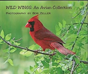 Seller image for Wild Wings : an Avian Collection for sale by Ye Old Bookworm