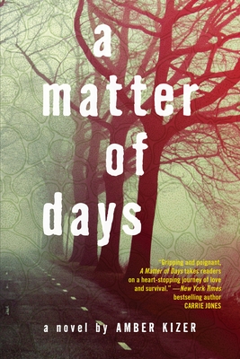 Immagine del venditore per A Matter of Days (Paperback or Softback) venduto da BargainBookStores
