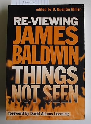 Re-Viewing James Baldwin | Things Not Seen