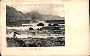 Ansichtskarte / Postkarte Lake Wakatipu South Island Neuseeland